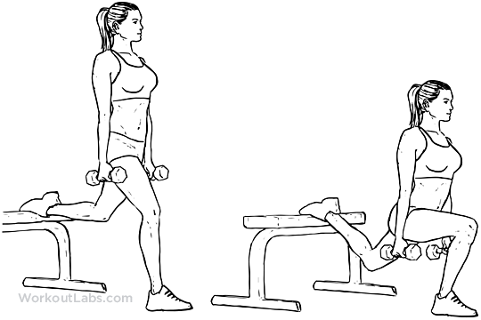 split squat