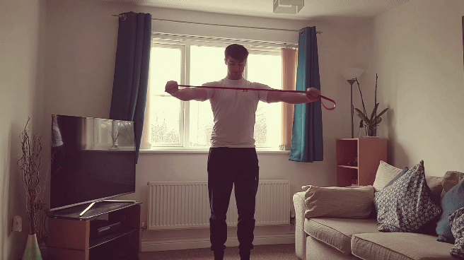 rear_delt_flys
